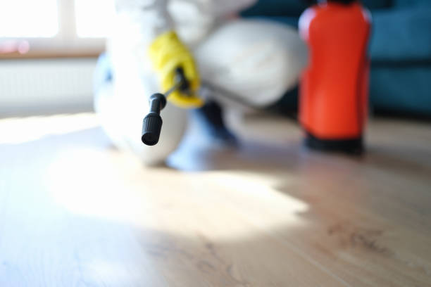 Forensic Mold Investigation in Clever, MO